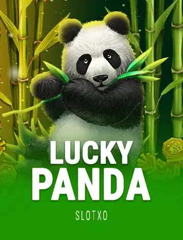 lucky panda